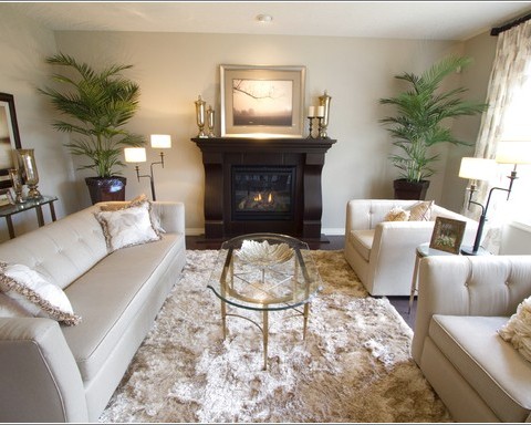 Area Rug In Living Room