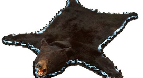 Bear Skin Rug Faux With Head
