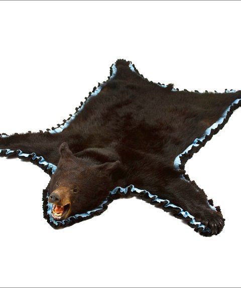 Bear Skin Rug With Head
