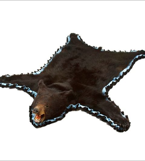 Bear Skin Rug With Head Ebay