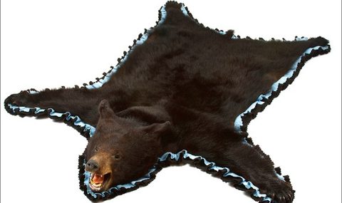 Bear Skin Rug With Head For Sale