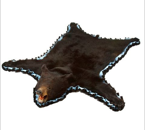Bear Skin Rug With Head Real